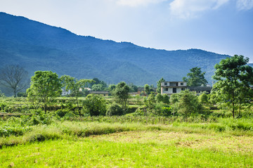 山野风光