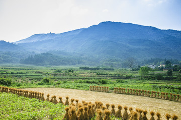 山野风光