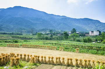 山野风光