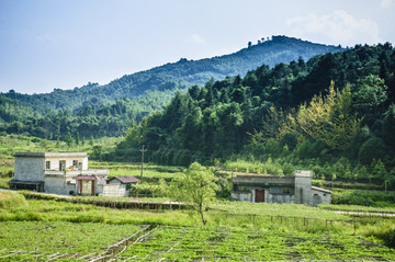 山野风光