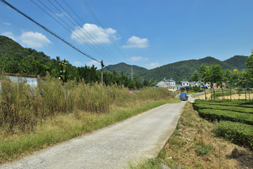 乡村公路