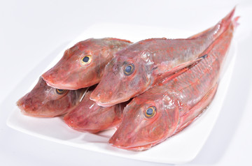 红娘鱼