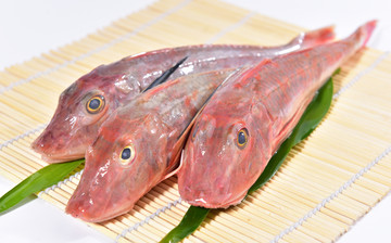 新鲜红娘鱼