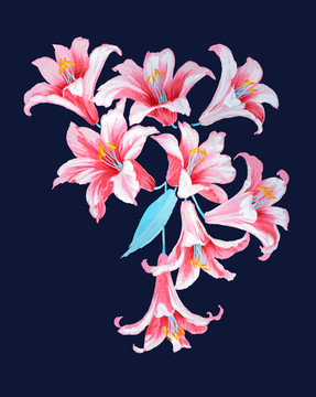 百合花頭