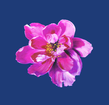 牡丹花頭8