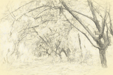素描畫