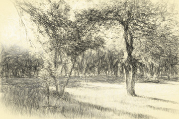 素描畫