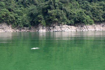 酉水三峡风景