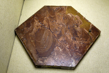 钙藻化石