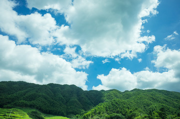 田野风光