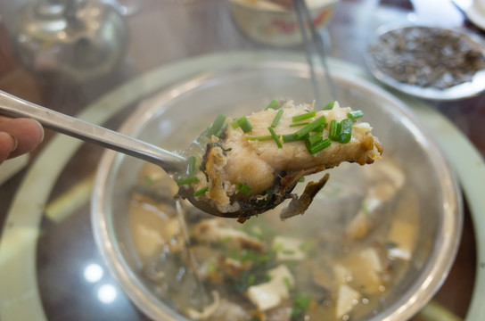 溪鱼炖豆腐