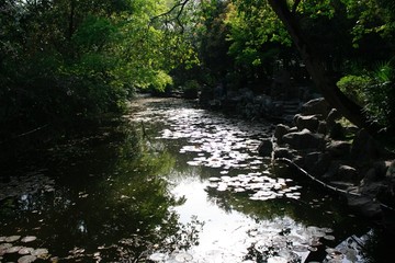 上海公园