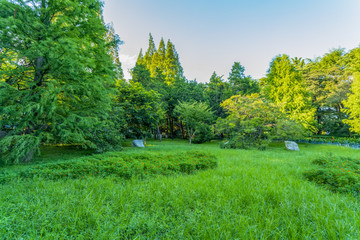 蓝天草地绿树林