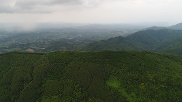 派阳山森林公园