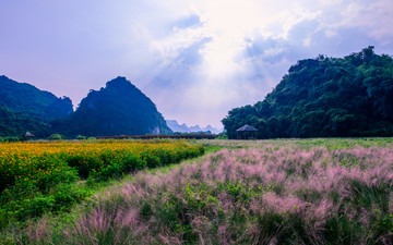 英西峰林胜景花海