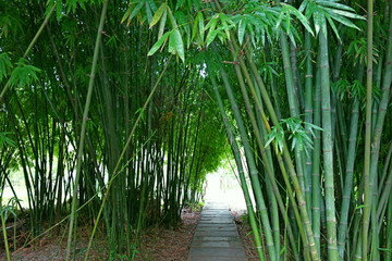 花溪十里河滩