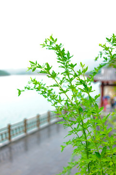 东江湖景区