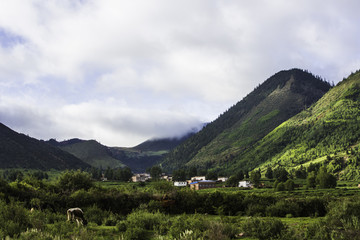 澜沧江大峡谷里的农家