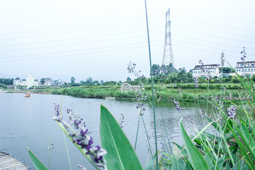 水景区