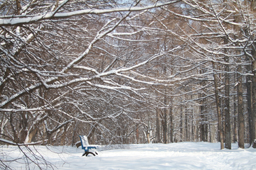 雪后的公园