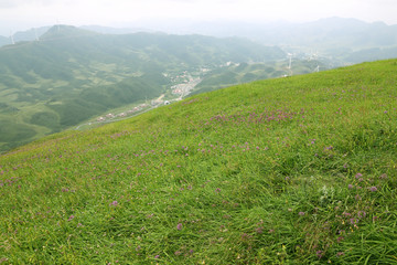 高山背景