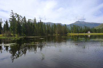 喀纳斯湖光山色