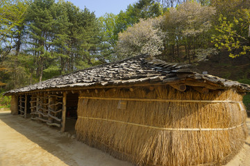 韩国郁陵岛房屋