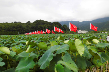 古田上飘扬的整齐旗帜