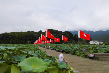 古田上飘扬的整齐旗帜