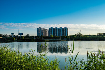 城市湿地