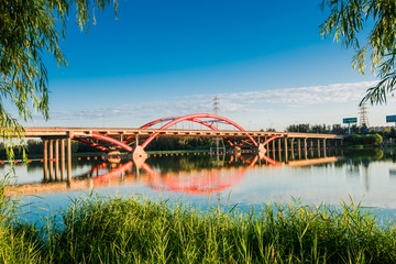 城市湿地