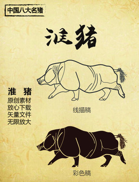中國八大名豬之淮豬