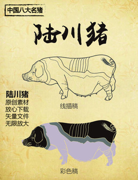中国八大名猪之陆川猪
