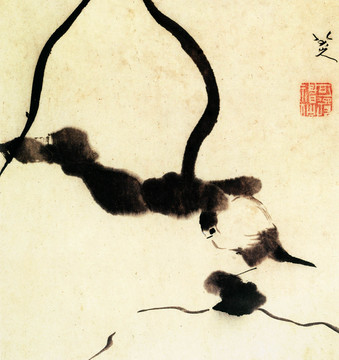 朱耷荷葉翠鳥(niǎo)