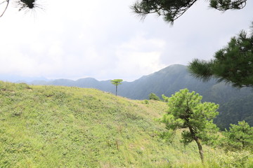 高山草场