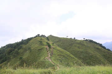 高山草场