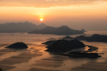 花竹日出