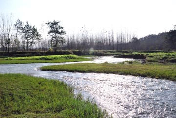 小河流水