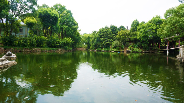 华雅水景