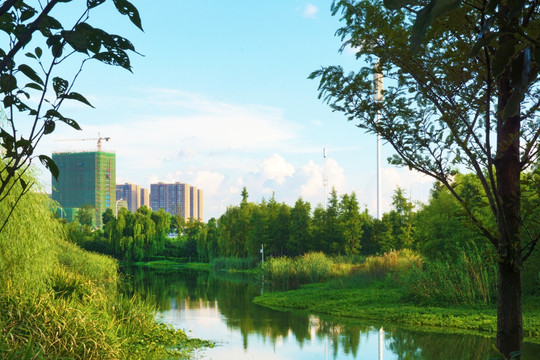 湖畔风景