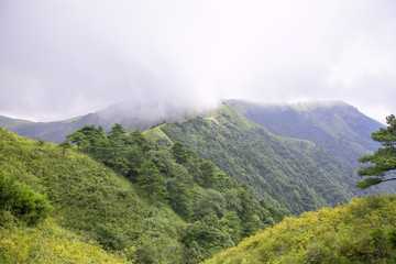 高山草场