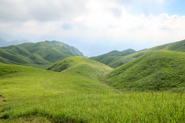 高山草场