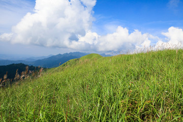 高山草场