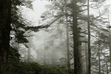 瓦屋山