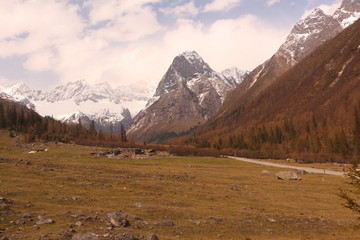 四姑娘山