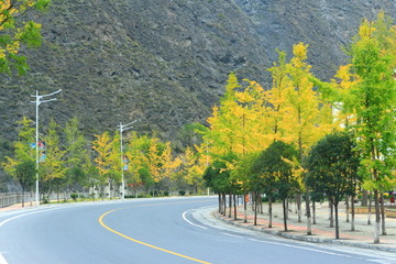 道路