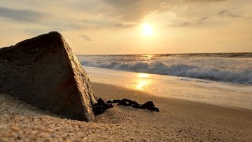 日出沙滩