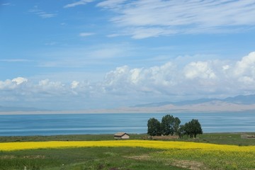 青海湖风景