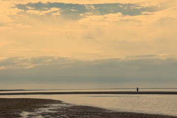 青海湖风景