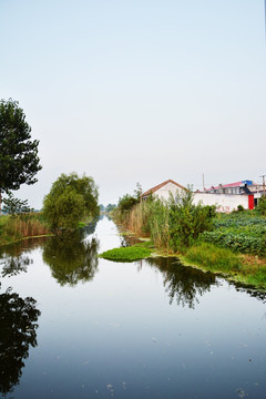 农村灌溉河